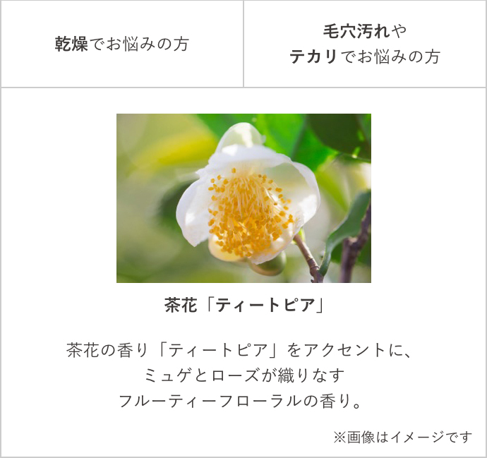 茶花「ティートピア」 茶花の香り「ティートピア」をアクセントに、ミュゲとローズが織りなすフルーティフローラルの香り。※画像はイメージです